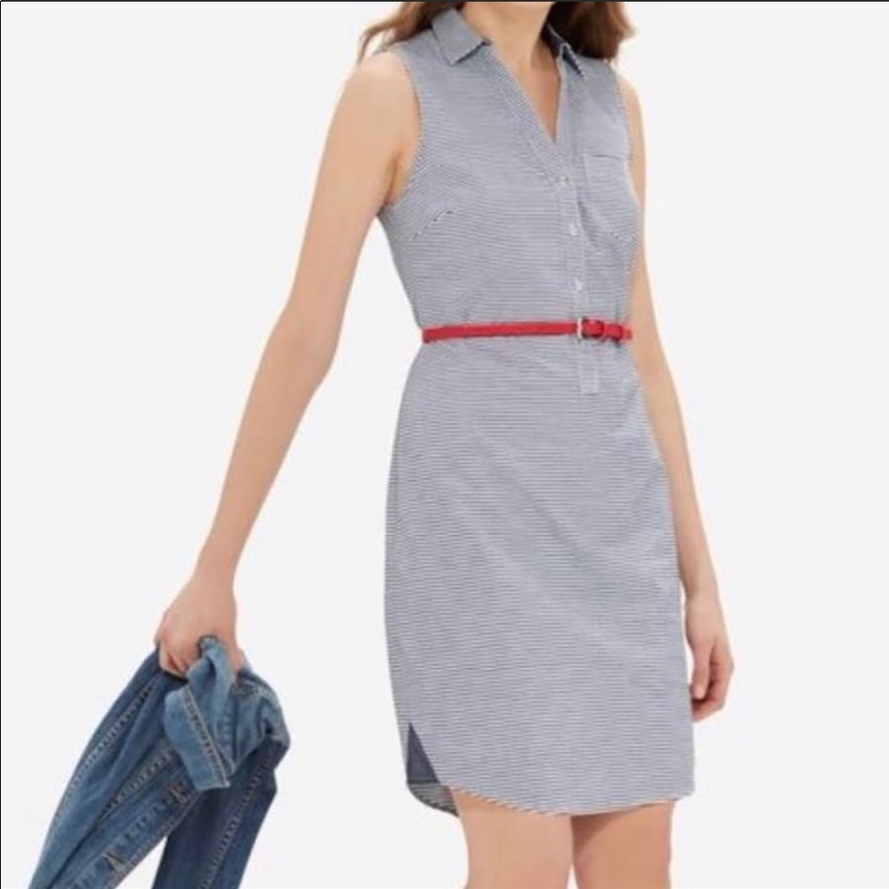 The Limited sleeveless Ashton dress